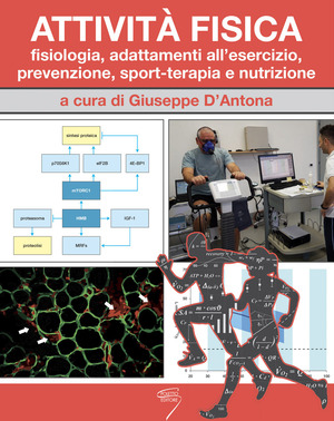 Attività fisica. Fisiologia, adattamenti all'esercizio, prevenzione, sport-terapia e nutrizione. Con Contenuto digitale per download e accesso online
