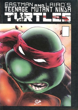 Teenage mutant ninja turtles