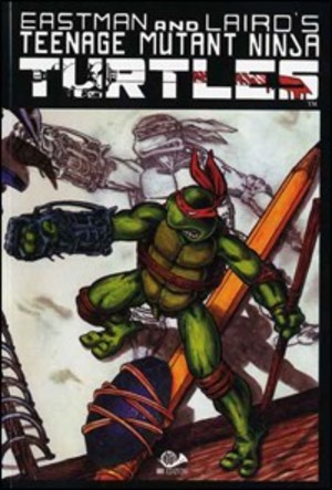 Teenage mutant ninja turtles