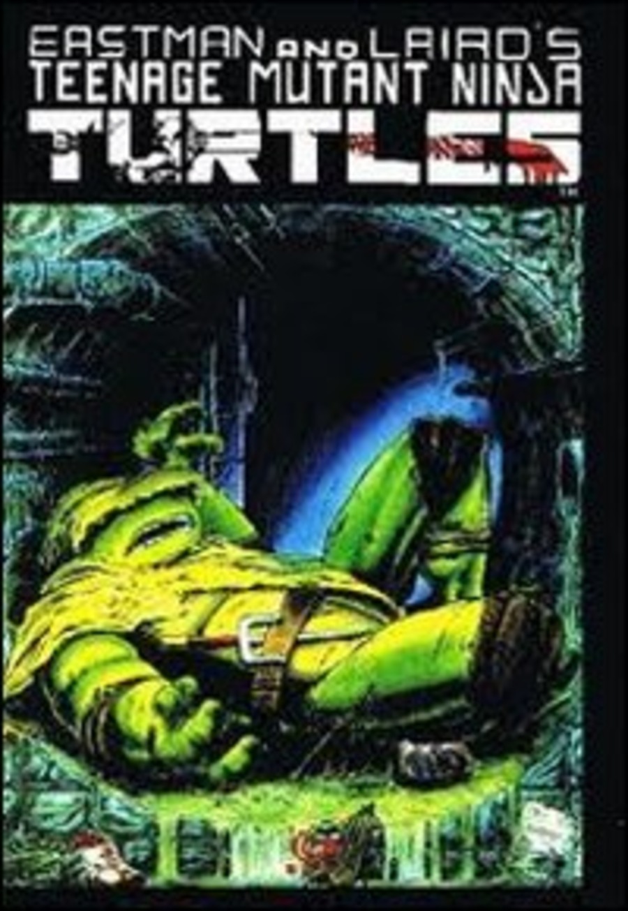 Teenage mutant ninja turtles