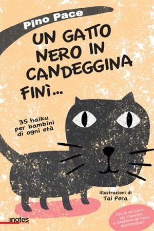 Un gatto nero in candeggina finì... 35 haiku per bambini di ogni età. Ediz. illustrata