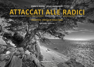 Attaccati alle radici. Immagini e storie di alberi della Sardegna. Images and stories of Sardinia's trees