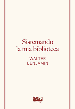 Sistemando la mia biblioteca