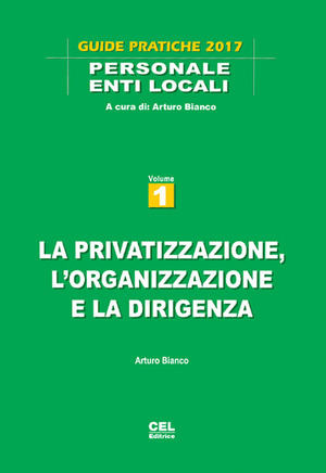 La privatizzazione, l'organizzazione e la dirigenza