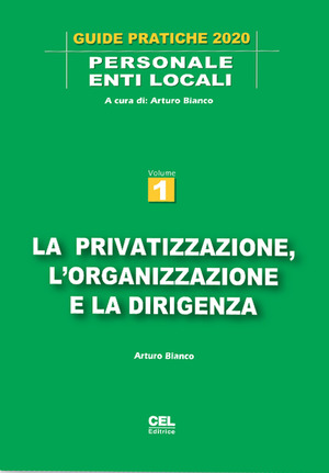 La privatizzazione, l'organizzazione e la dirigenza