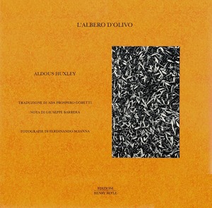 L' albero d'olivo
