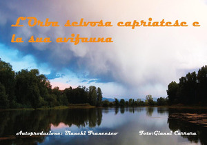 L' Orba selvosa capriatese, la sua avifauna e gli ospiti in giardino