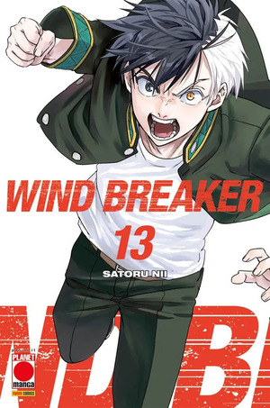 Wind breaker