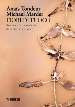 Fiori di fuoco. Tracce e corrispondenze dalla Terra dei fuochi. Ediz. a colori