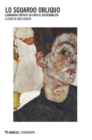 Lo sguardo obliquo sulle crisi. Lemmario critico su crisi e sostenibilità