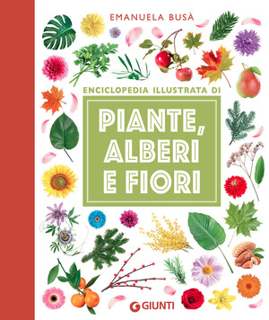 Piante, alberi e fiori. Enciclopedia illustrata. Ediz. a colori