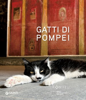 Gatti di Pompei. Ediz. a colori