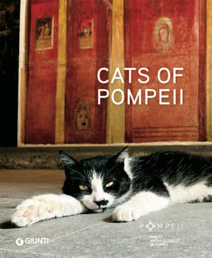 Cats of Pompeii. Ediz. a colori