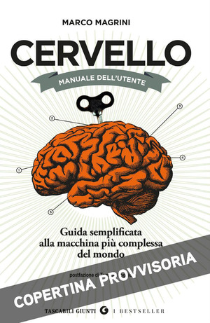 Cervello. Manuale dell'utente. Guida semplificata alla macchina più complessa del mondo