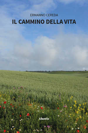 Il cammino della vita