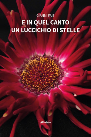 E in quel canto un luccichio