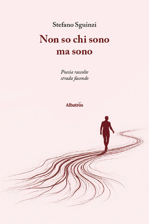 Non so chi sono ma sono. Poesia raccolte strada facendo