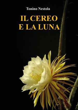 Il cereo e la luna