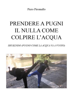 Prendere a pugni il nulla come colpire l'acqua. Shukendo (pugno come la acqua va a vuoto)