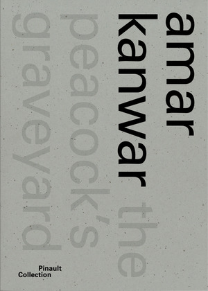 Amar Kanwar. Ediz. italiana, inglese e francese