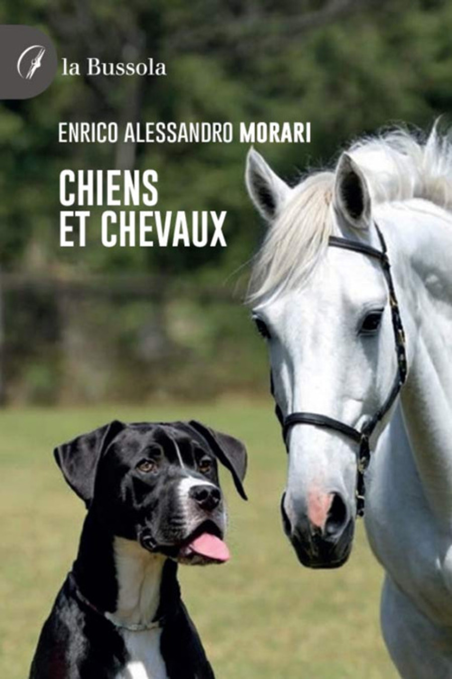 Chiens et chevaux