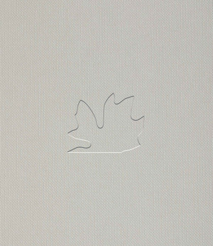 Gianni Caravaggio. Per analogiam. Ediz. illustrata