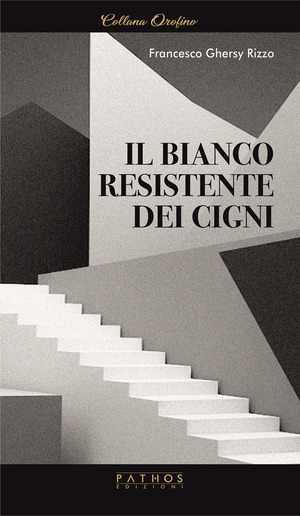 Il bianco resistente dei cigni