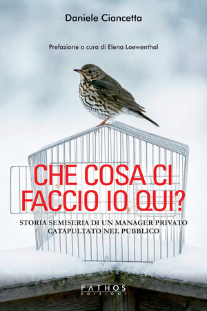 Che cosa ci faccio io qui? Storia semiseria di un manager privato catapultato nel pubblico