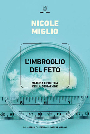 L' imbroglio del feto. Materia e politica della gestazione