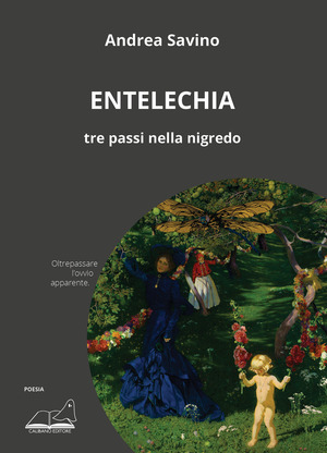 Entelechia. Tre passi nella nigredo