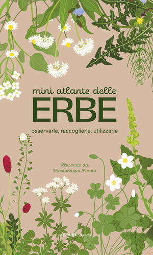 Mini atlante delle erbe. Osservarle, raccoglierle, utilizzarle
