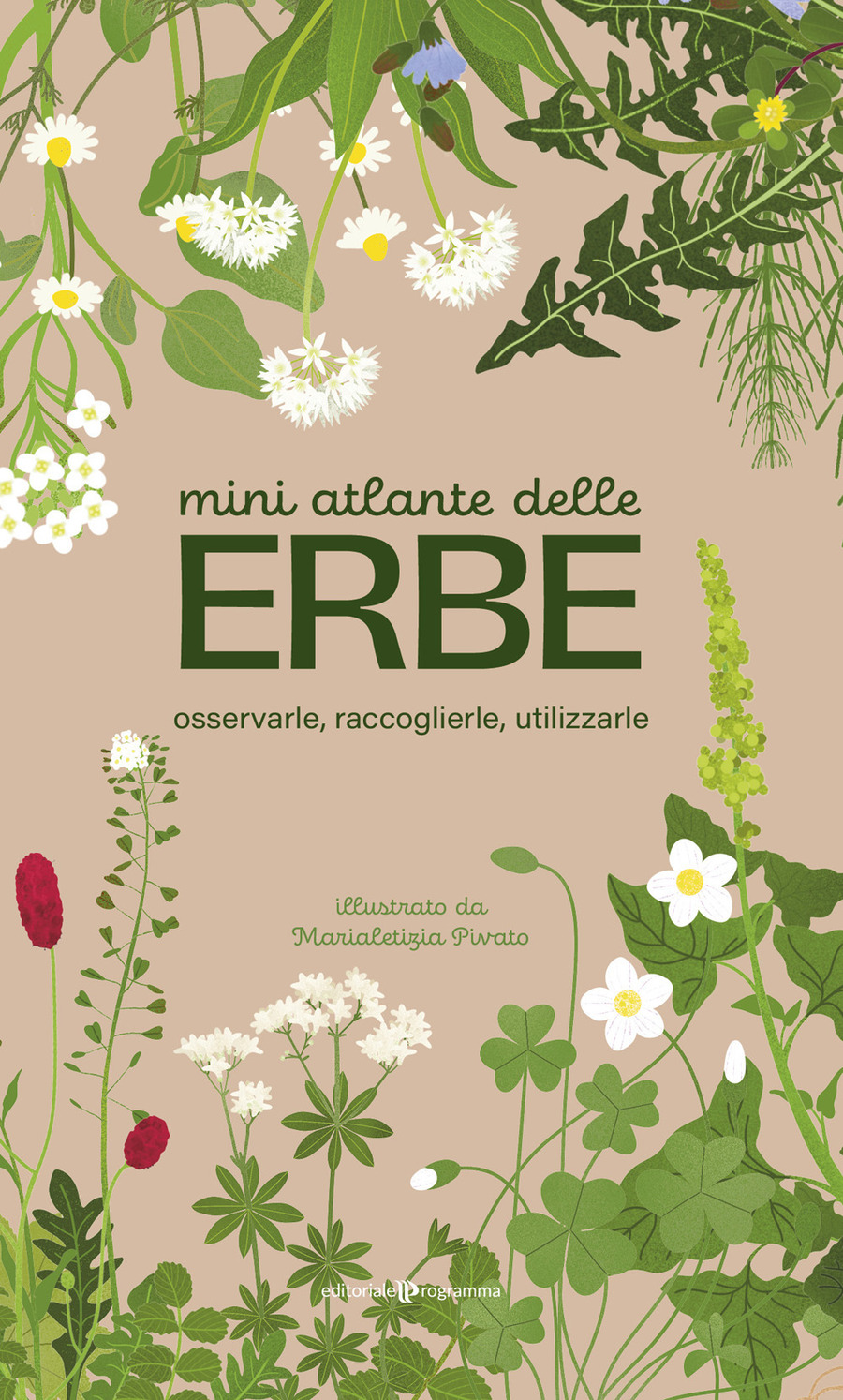 Mini atlante delle erbe. Osservarle, raccoglierle, utilizzarle