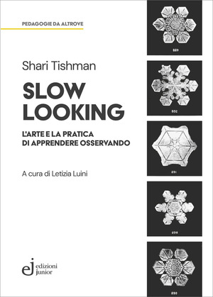 Slow looking. L'arte e la pratica di apprendere osservando