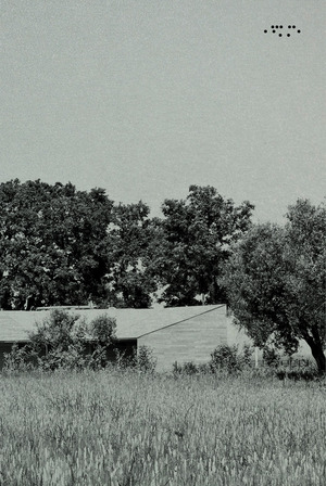 Studio Mc2aa. Forma relazione