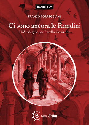 Ci sono ancora le rondini