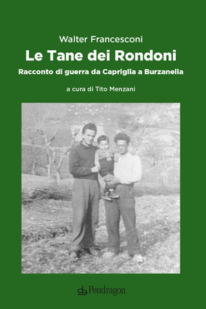 Le tane dei rondoni
