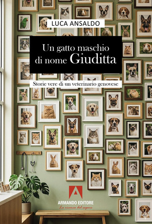 Un gatto maschio di nome Giuditta