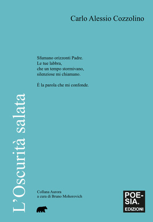L' oscurità salata