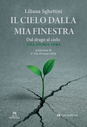 Il cielo dalla mia finestra