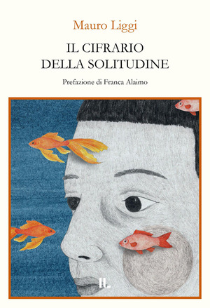 Il cifrario della solitudine