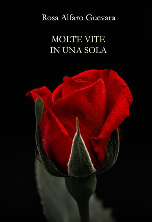Molte vite in una sola