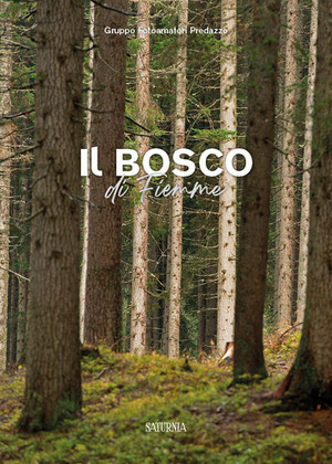 Il bosco di Fiemme