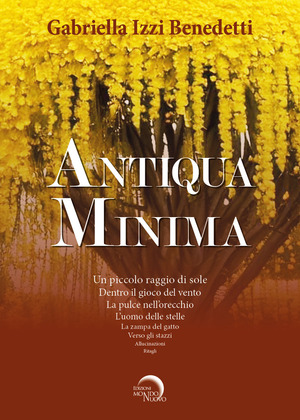 Antiqua minima