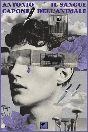 Il sangue dell’animale