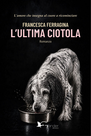 L' ultima ciotola