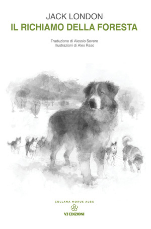Il richiamo della foresta