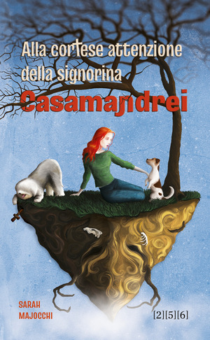 Alla cortese attenzione della signorina Casamandrei