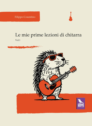 Le mie prime lezioni di chitarra