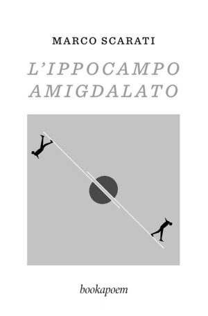L' ippocampo amigdalato