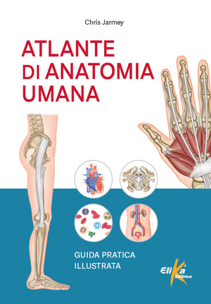 Atlante di anatomia umana. Guida pratica illustrata. Ediz. a colori